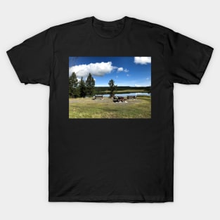 Tunkwa Lake Provincial Park T-Shirt